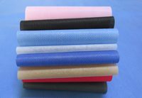 大英涤纶（PET）无纺布是什么